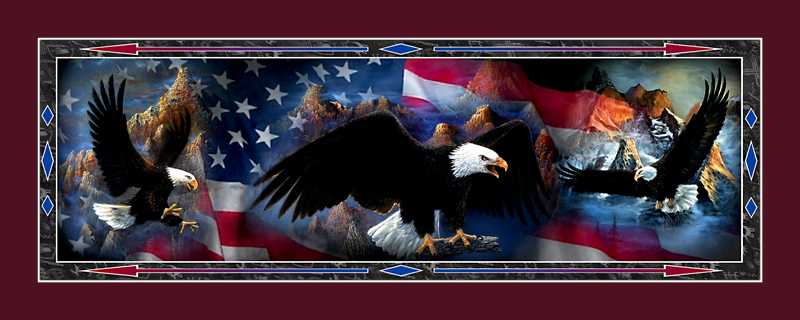 Patriotic Eagles